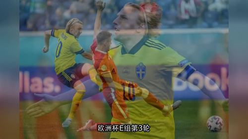 欧洲杯瑞典vs波兰分析
